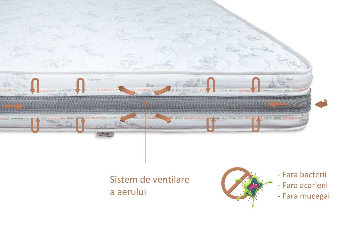 Saltea camion plasa arcuri AE 24cm