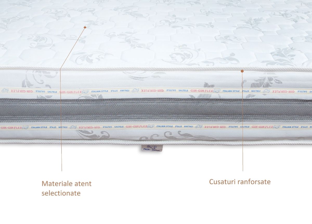 Saltea camion plasa arcuri AE 24cm