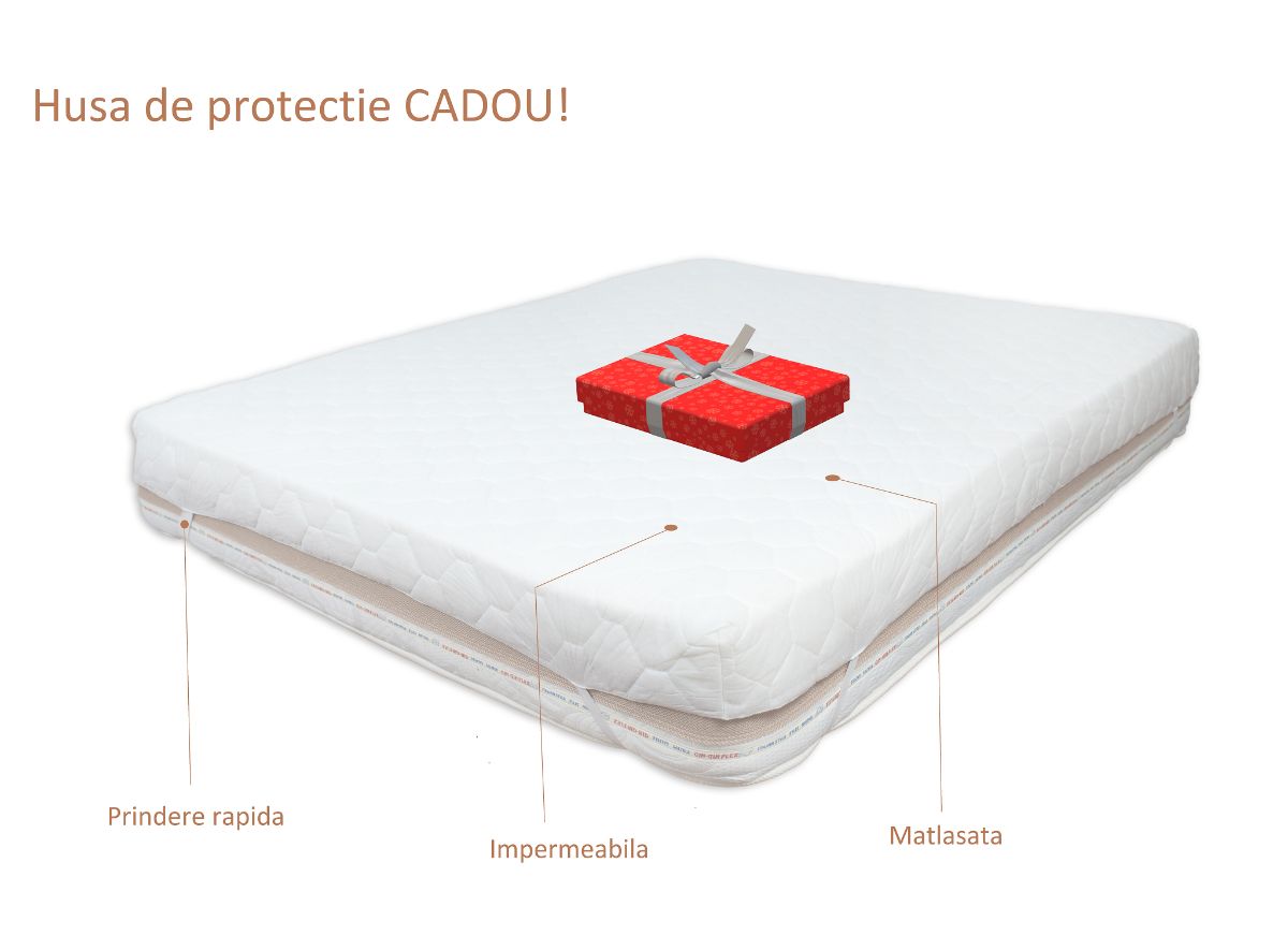 Saltea camion plasa arcuri AE 24cm