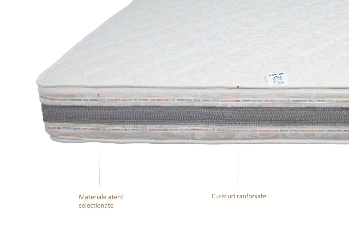 Saltea camion plasa arcuri A 22cm