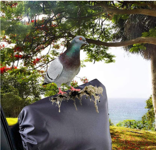 Set 2 huse oglinzi auto laterale, pentru autoturisme