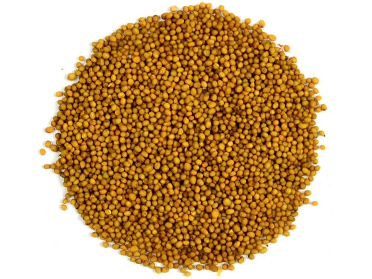 Perna protectie spate / lombara, ergonomica, pentru scaun auto, universala, terapeutica, antistres