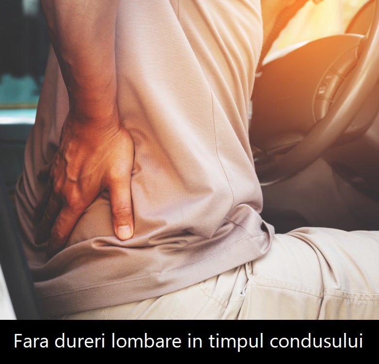 Set 2 perne auto perna pentru gat si perna pentru spate