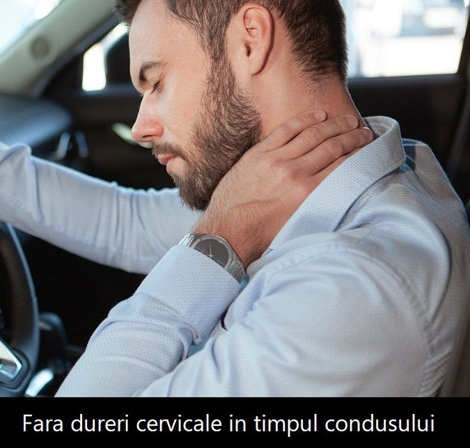 Set 2 perne auto perna pentru gat si perna pentru spate